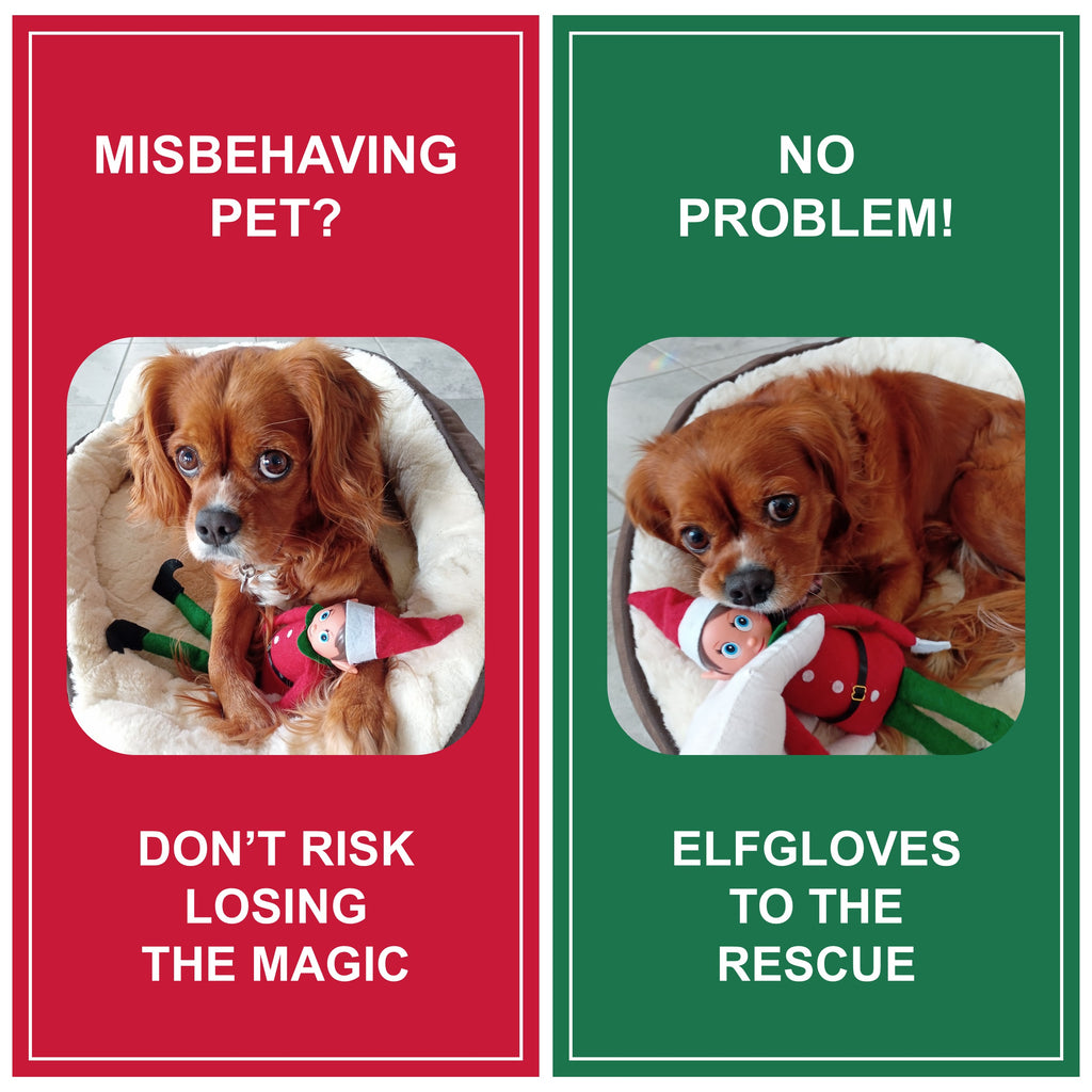 Magic Elf Handling Gloves